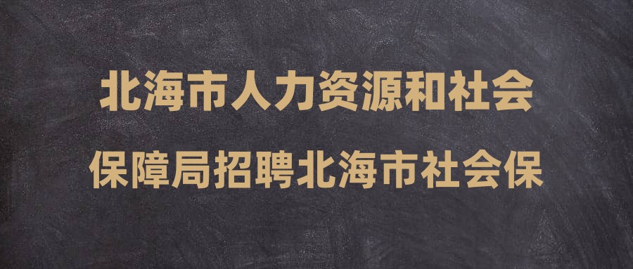 北海市城市社会经济调查队最新招聘公告概览