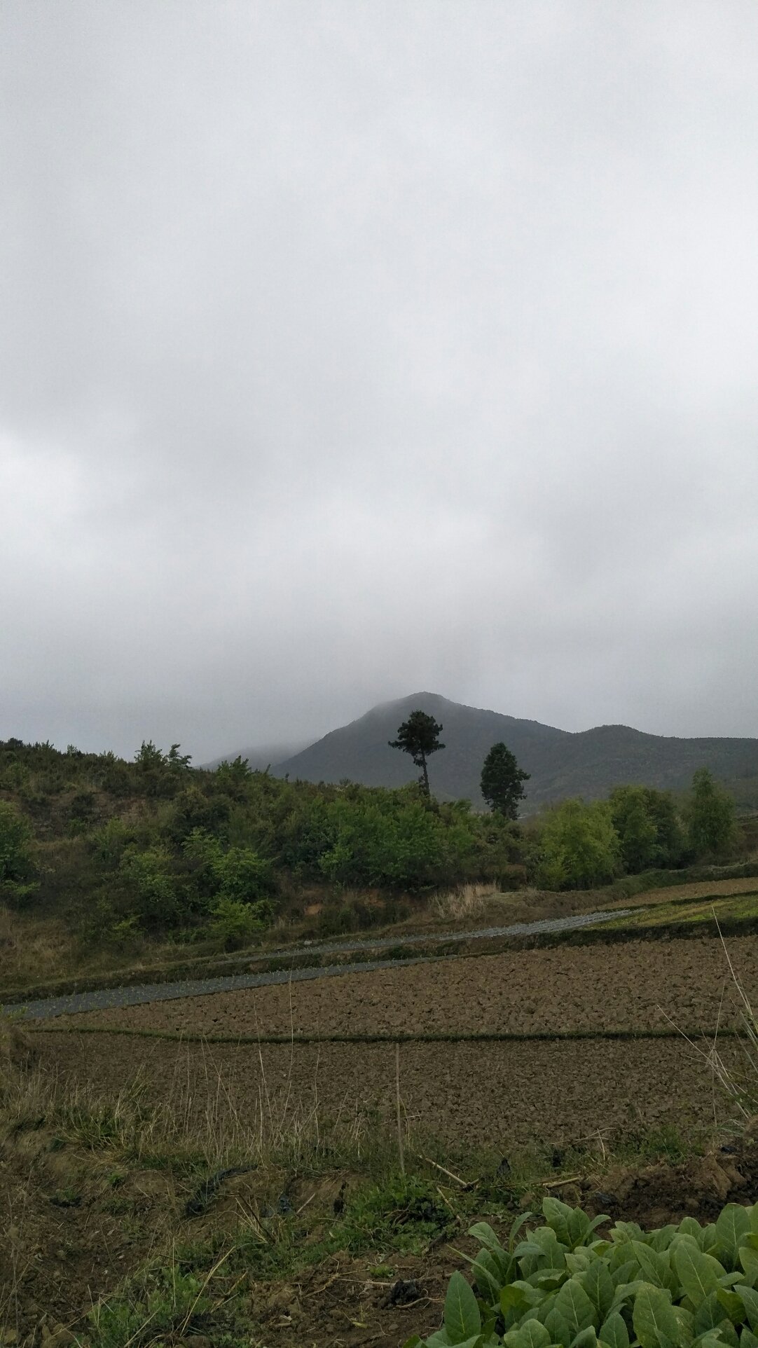 东鞍山镇天气预报更新通知